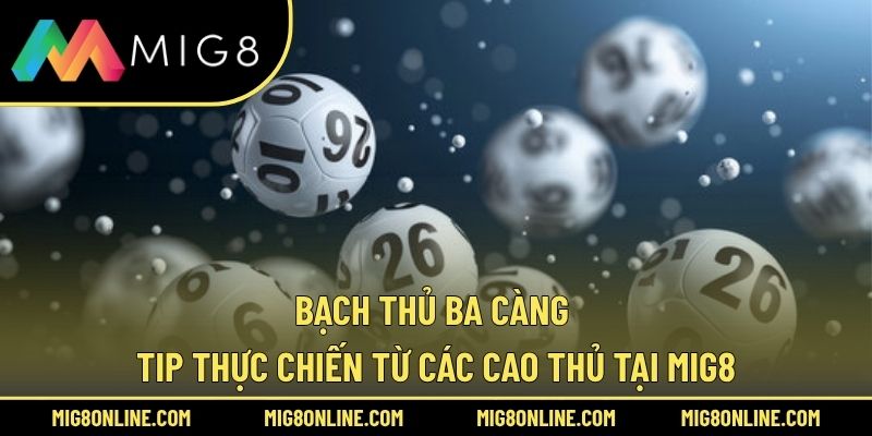 Bạch Thủ Ba Càng – Tip Thực Chiến Từ Các Cao Thủ Tại MIG8