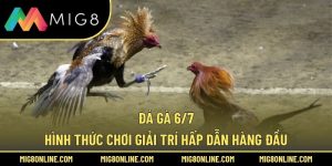 Đá Gà 6/7 – Hình Thức Chơi Giải Trí Hấp Dẫn Hàng Đầu
