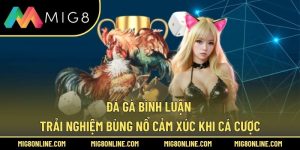 Đá Gà Bình Luận - Trải Nghiệm Bùng Nổ Cảm Xúc Khi Cá Cược