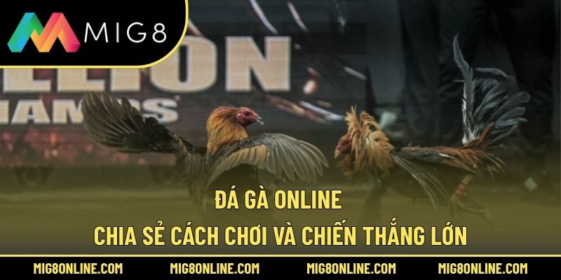 Đá Gà Online – Chia Sẻ Cách Chơi Và Chiến Thắng Lớn