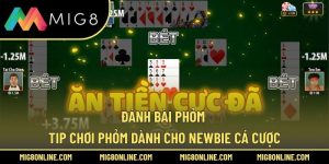 Đánh Bài Phỏm – Tip Chơi Phỏm Dành Cho Newbie Cá Cược