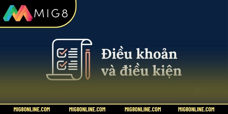 Giới thiệu sơ về điều khoản điều kiện MIG8
