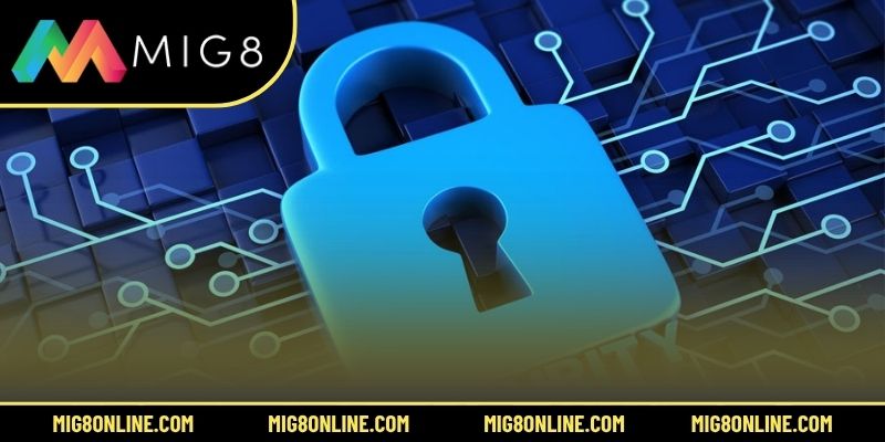 Thông tin bắt buộc cần cung cấp theo chính sách bảo mật MIG8