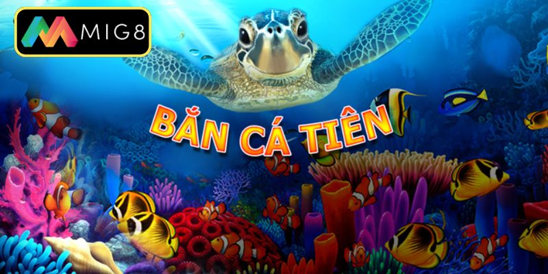 Áp dụng chiến thuật săn bắt cá thông minh