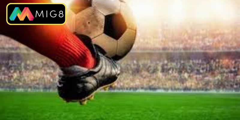 Nắm rõ bản chất của tỷ lệ chấp một trái